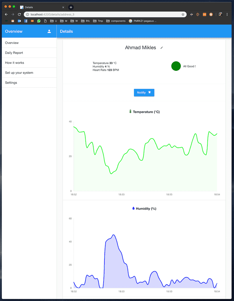 Angular Frontend Graphs